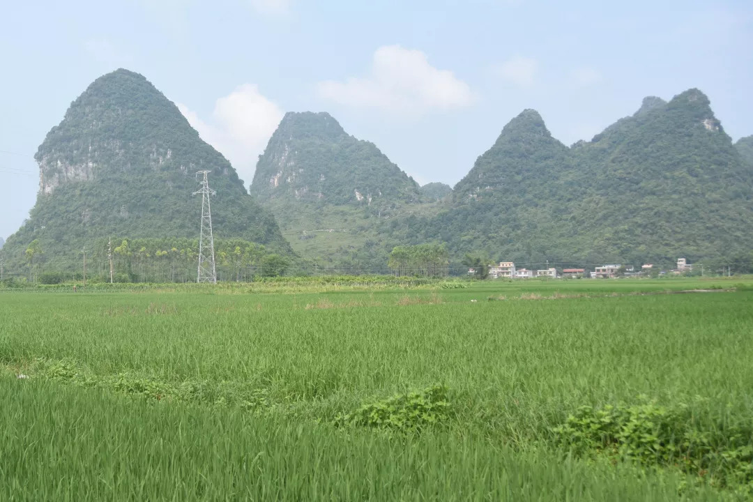 5b7f8ae2ce4f4.jpg 11.jpg